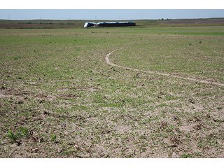Property photo 17 - LAND AUCTION, 3255+/- Acres offered in 13 Tracts